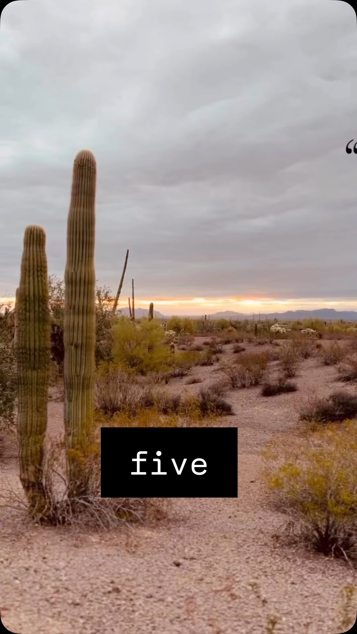 we’re putting PinDrop to the test.
.
#provinggrounds #outthere #sonorandesert #historictrail #pindroptraveltrailers