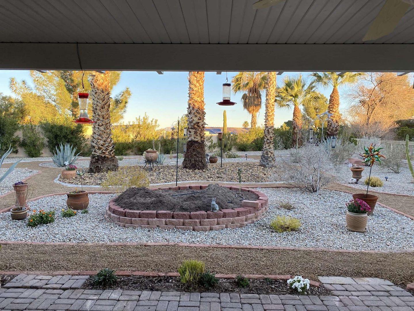 When your imagination becomes reality!
#landscape #lasvegas #nevada #lasvegasbusiness #desertlandscape #palmtrees #greengrass #lawnservice #weedremoval #rockinstallation #newrocks #flowers #backyardtransformation