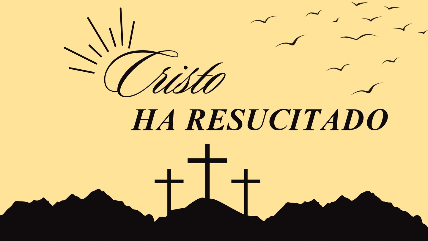 ๐ฐ๐จ St Bartholomew 2026 Lent/Easter Newsletter is out !!! Check out our website for the newsletter โ to read about what is happening within the church โช๏ธ
๐ป stbartlutheran.net
๐ Available to read in SPANISH and ENGLISH