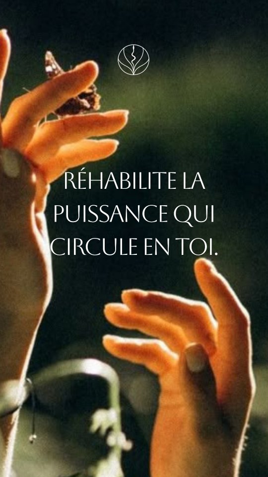 Quand vous restaurez votre axe,
quand vous réhabitez votre canal central,
quand vous laissez dialoguer vos polarités intérieures, le pouvoir créateur se réveille sans effort.
Shakti n’est pas un concept.
Elle est en vous.
Force vivante.
Intelligence organique.
Puissance qui sait exactement comment se déployer à une seule condition : que le terrain redevienne disponible.
⛩️ Si tu souhaites débuter ton Parcours et ton initiation avec cette merveilleuse énergie de vie rdv sur www.andreaamorim.ch