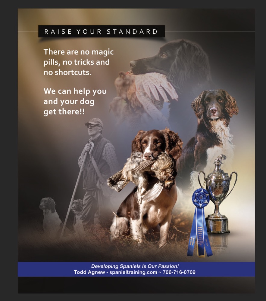 RAISE YOUR STANDARD!!
There are no magic pills, no tricks, and no shortcuts — just clear standards, consistent reps, and the right guidance.
If you want a spaniel that’s steady in training, bold in the field, and polished when it counts… it starts with a plan and the commitment to follow through. That’s exactly what we do every day at Craney Hill: we develop the dog, and we coach the handler, so the results hold up long after the lesson is over.
Whether you’re chasing hunt test goals, field trial dreams, or simply want a better partner in the uplands — we can help you and your dog get there.
#SpanielTraining #GunDogTraining #FieldTrialSpaniels #HuntTestTraining