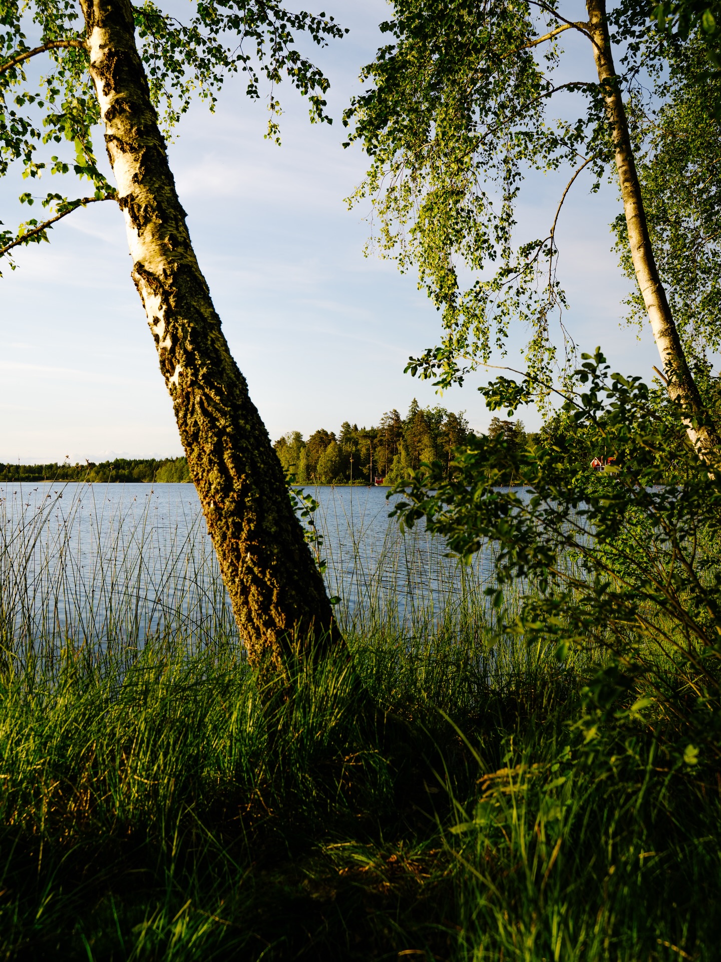 Sommer in Schweden ??
Gerade bei Regen und kühlen Temperaturen ist die Vorfreude auf den Sommer besonders groß. ?
Helle Nächte, stille Seen und ganz viel Leichtigkeit. Der nächste Schwedensommer kommt bestimmt. ?
Wohin zieht es euch dieses Jahr in den Urlaub? ?
#sommer #schweden #nordtied #småland #visitsweden