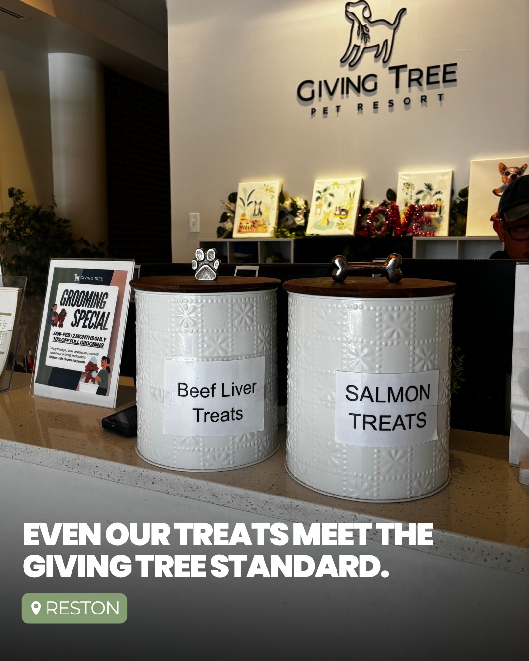 Even our treats meet the Giving Tree standard.
Healthy, premium, and thoughtfully chosen — because from our reception team to what your dog eats, every detail of care matters.
Visit us and see the difference. 🐾
#GivingTreePets #Virginia #GivingTreePetResort #Reston
#PremuimTreat #HealthyFood #FeedThoughtfully
#NaturalTreat #BeefLiverTreat #SalmonTreat