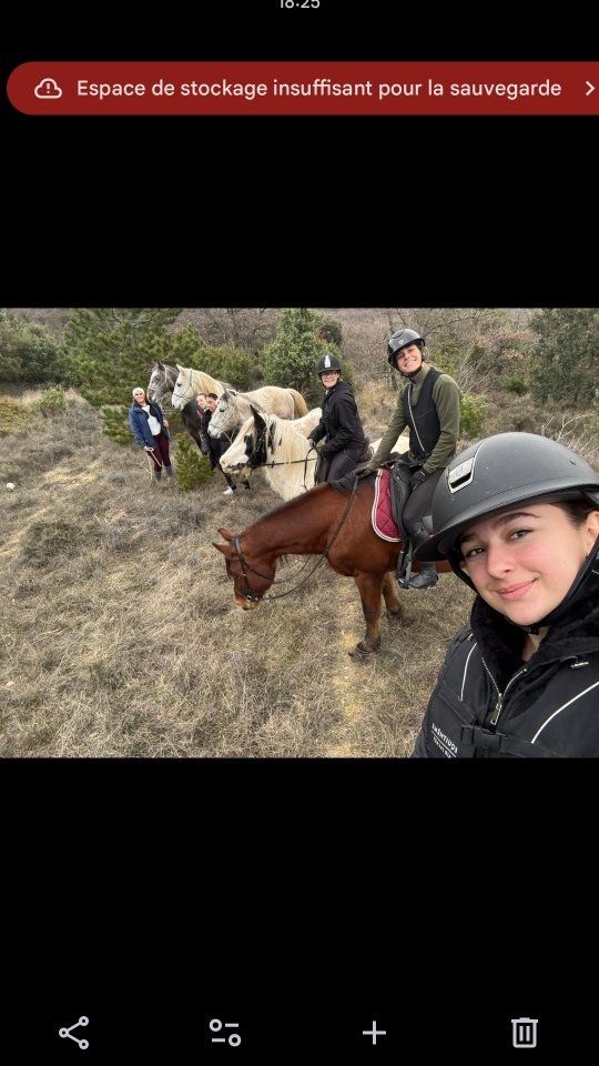 ✨ Aujourd’hui, nous avons passé une super après-midi !
Nous sommes partis en balade à 5 : certains à cheval, d’autres en main, avec Argan, Dipsy, For Win, Majesté, Jeinko et Luego 🐴💛
Un moment convivial et chaleureux, partagé avec les cavalières des écuries, entre rires, nature et passion du cheval 🌿
Et pour clôturer la journée en beauté, de délicieuses crêpes maison nous attendaient pour fêter la Chandeleur 🥞✨
Une après-midi à refaire sans hésiter !