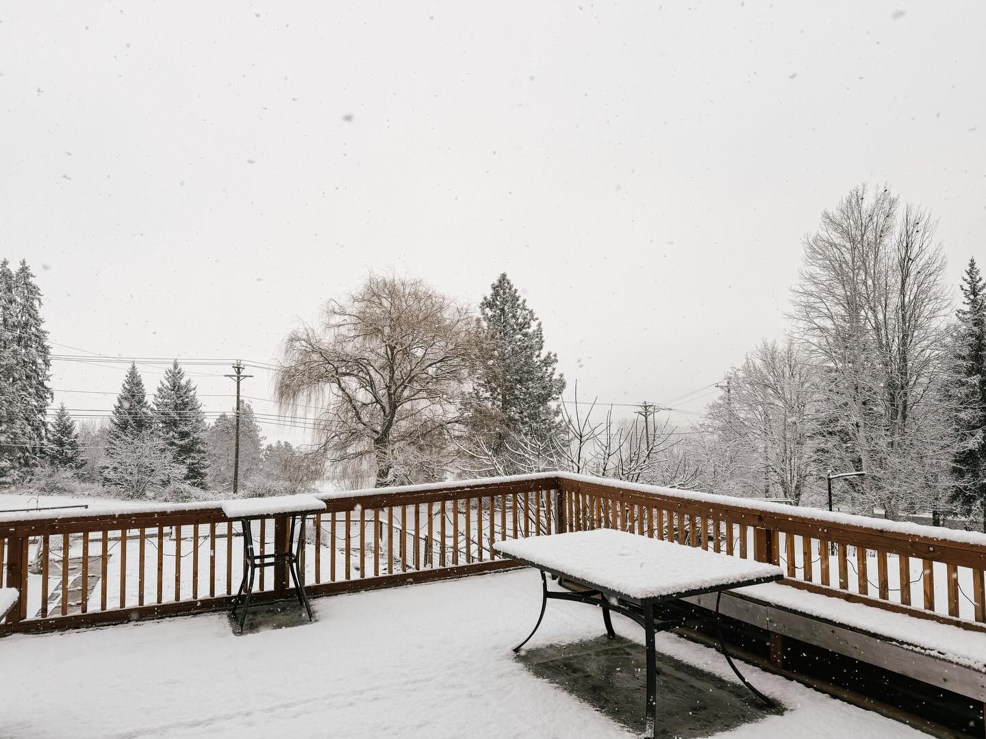 Looks like winter finally decided to show up…. Just a couple months late ?