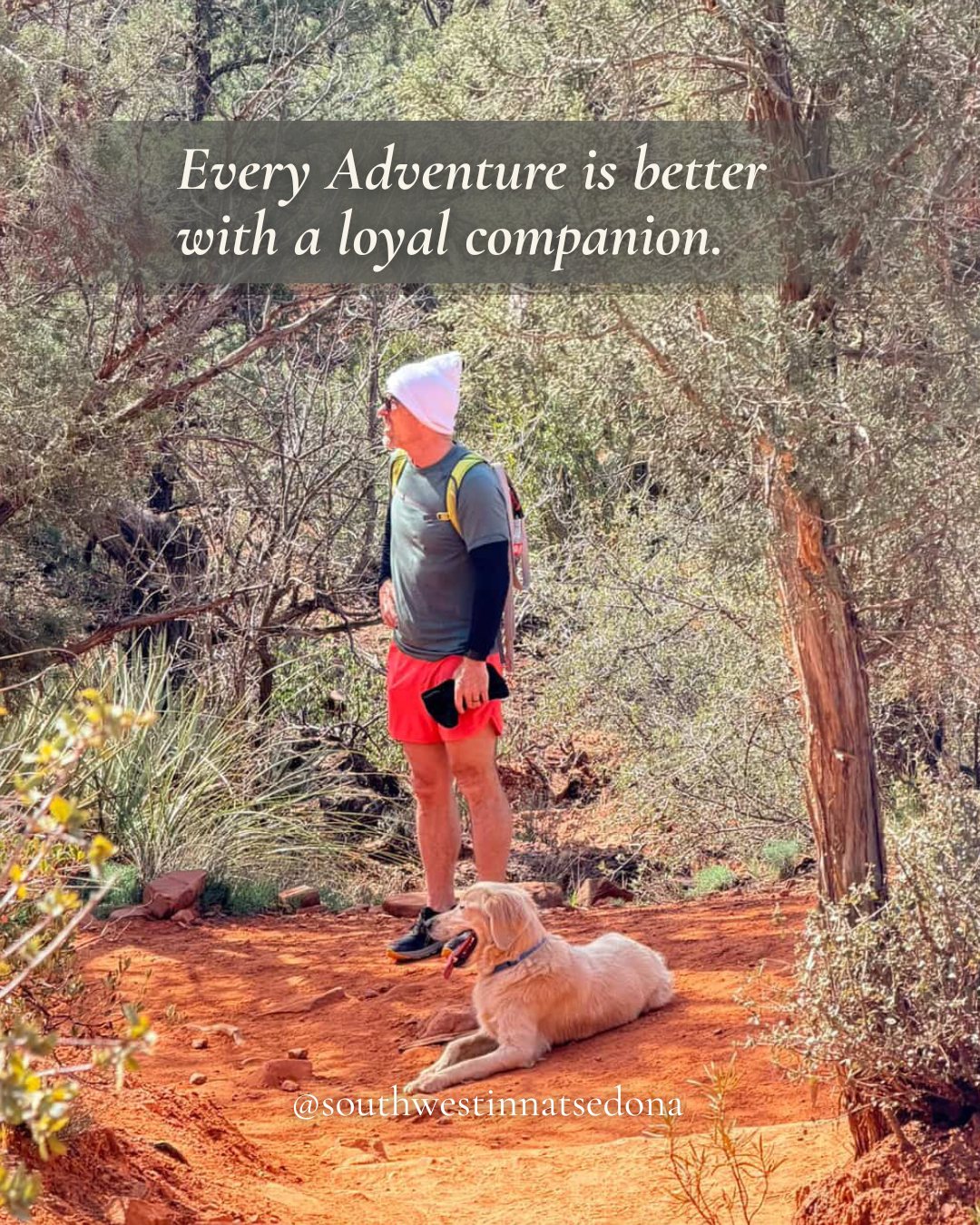 Some of the best Sedona adventures aren’t just about the views — they’re about who you share the trail with. ?
Bring your loyal companion and explore the red rock trails just minutes from Southwest Inn.
Save this for your next dog-friendly Sedona getaway.
#SedonaTrails
#HikeWithDogs
#SouthwestInnSedona ??