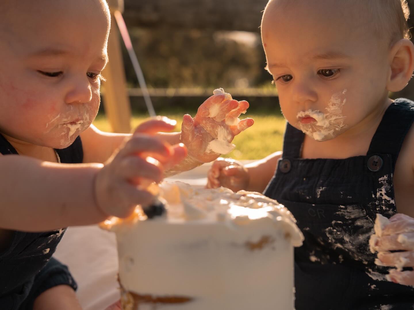 First birthdays are for serious cake tasting! ππ