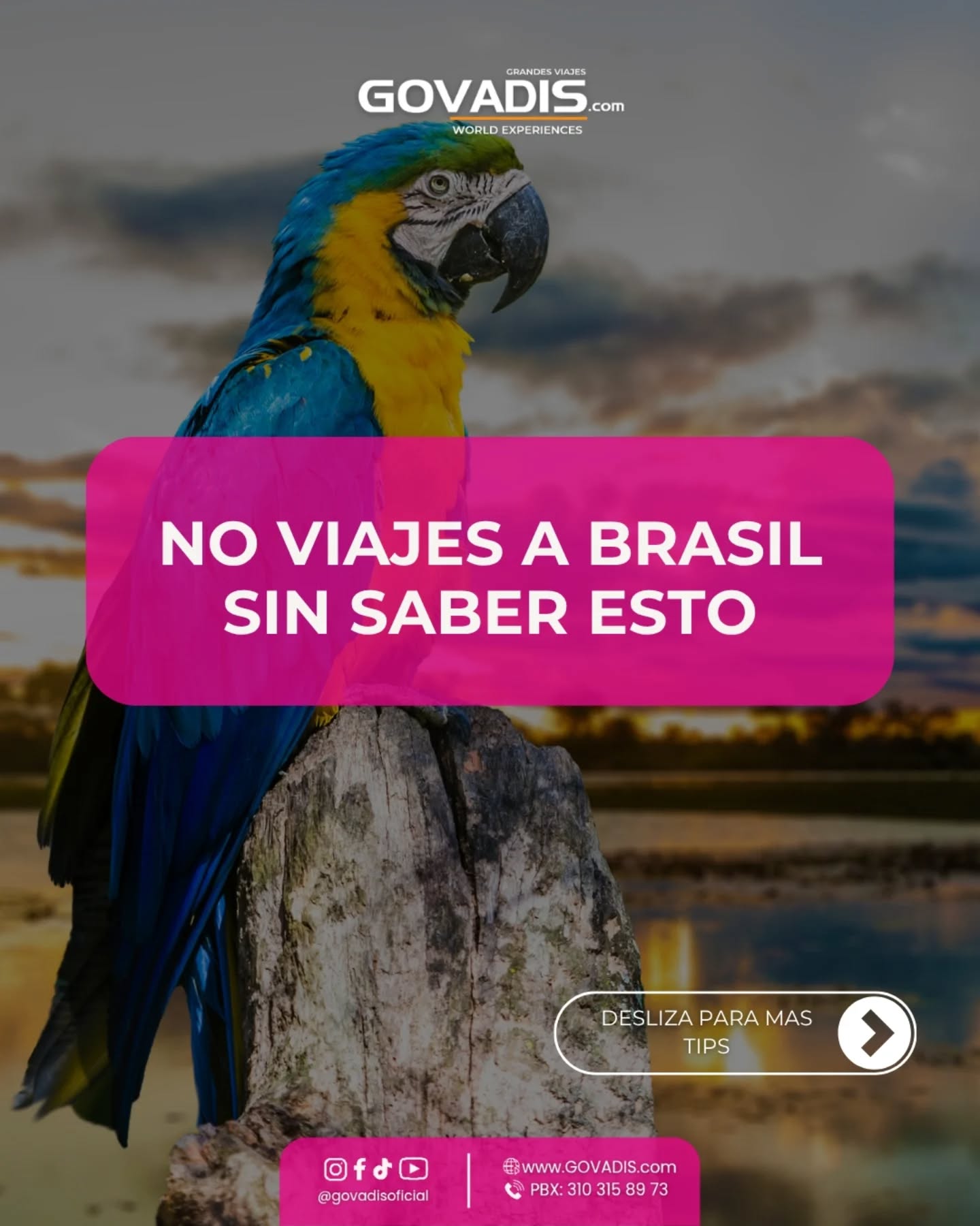 ¿Planeando tu travesía a Brasil? ??
Hablemos de lo que nadie te cuenta
Brasil es pasión, samba y paisajes brutales ?? pero para disfrutarlo al máximo, necesitas más que solo protector solar.
Por eso te traemos 7 consejos imprescindibles para que tú disfrutes.
En GOVADIS, nos aseguramos de que cada detalle de tu viaje sea perfecto.
?? Desliza, guarda y envía este post.