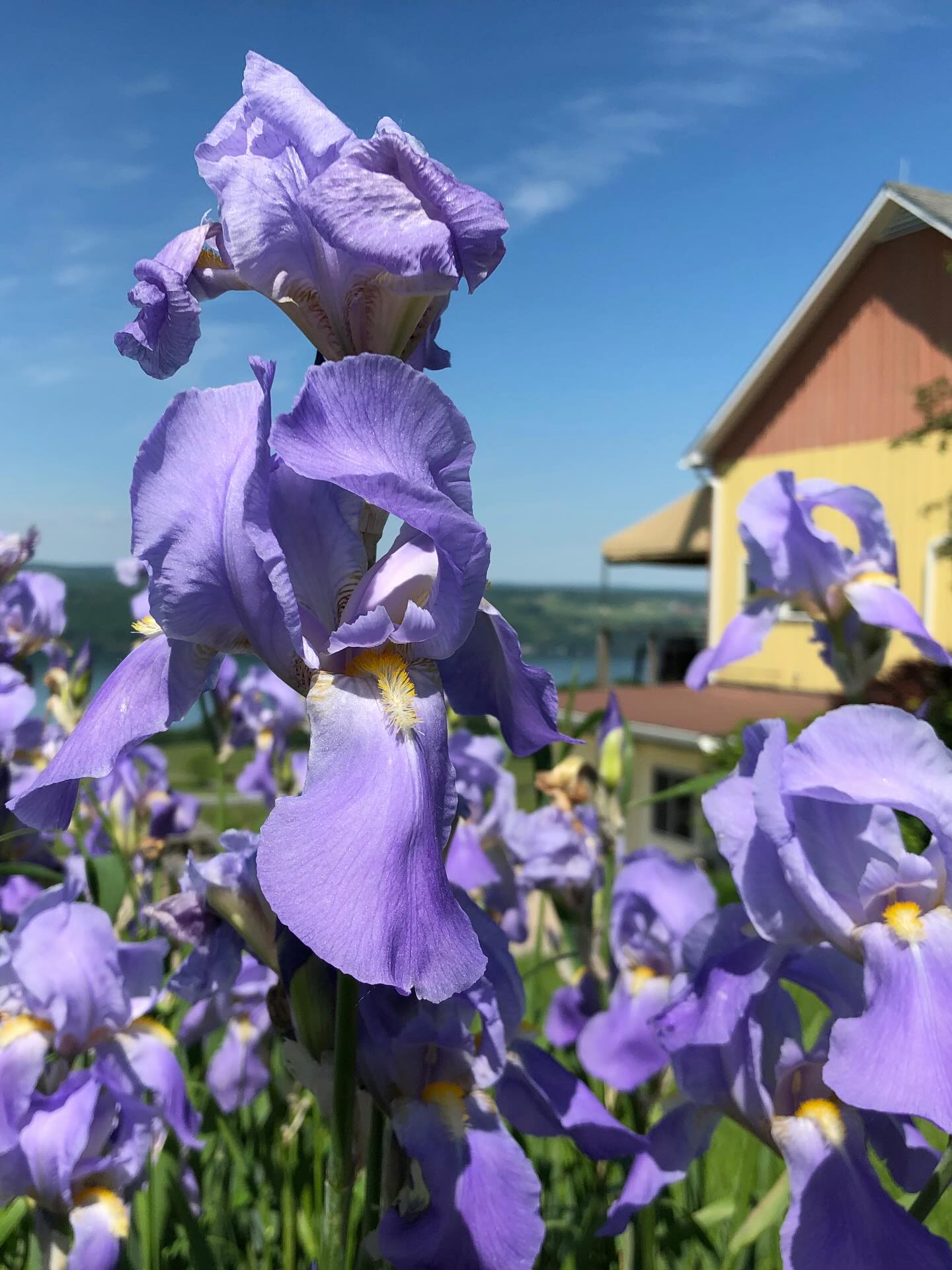 ?SPRING HOURS?
Starting today, Monday, April 6, we will be open daily from 11:00 AM - 6:00 PM.
Please join us for a wine tasting or wine by the bottle or glass!