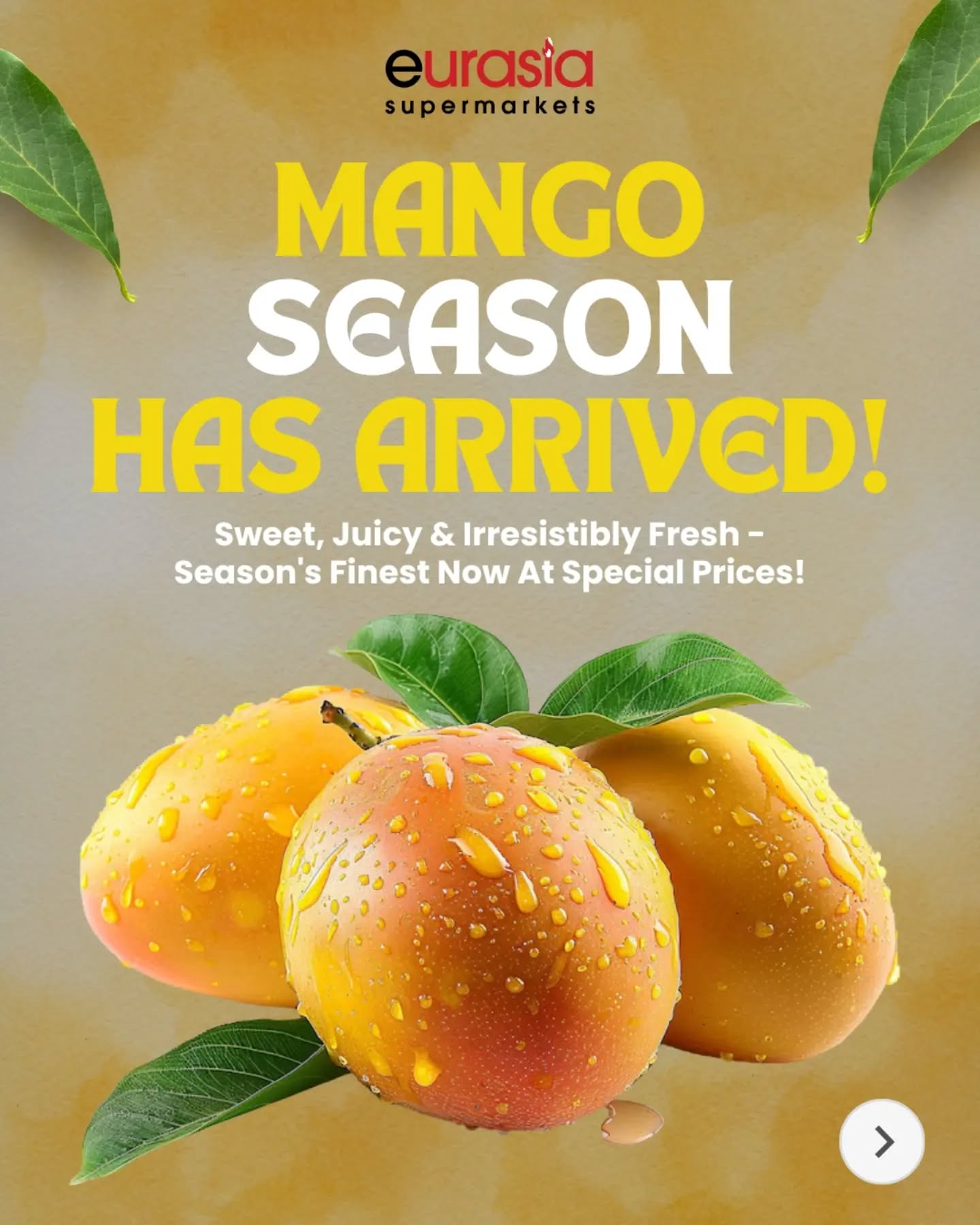 ? If it’s summer, it has to be mangoes ?
.
Fresh Alphonso, Kesar & Badami are here! ?
.
Special prices to make it even sweeter ?
.
Tag someone who owes you a mango treat ?
.
Available at your nearest Eurasia Store!
?Lucan / Adamstown / Talbot St.
.
.
#MangoSeason #BestDeals #Mango #EurasiaSupermarket #Shopping