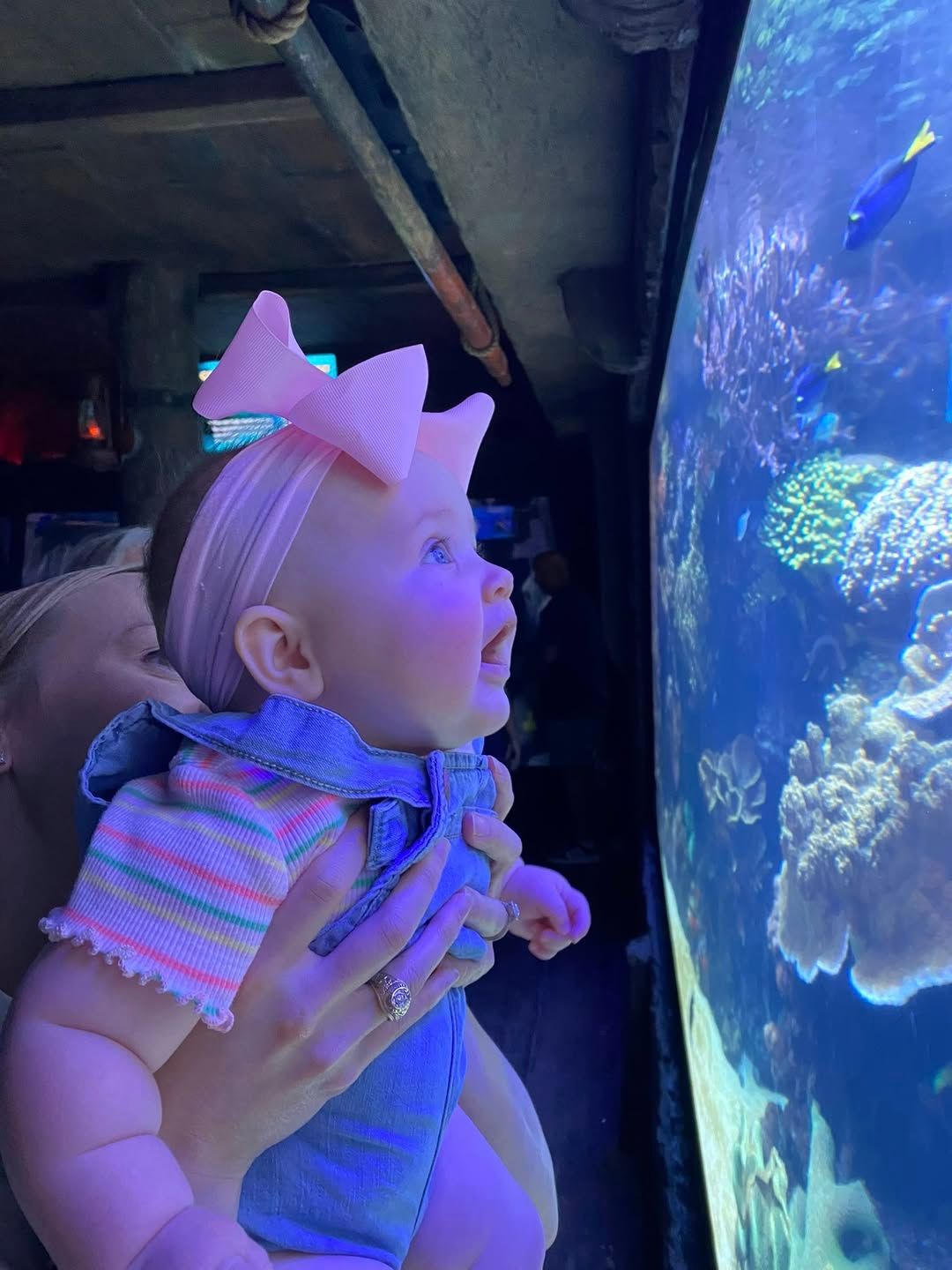 Creating ocean lovers, one visit at a time.
?: baileyhoddekent