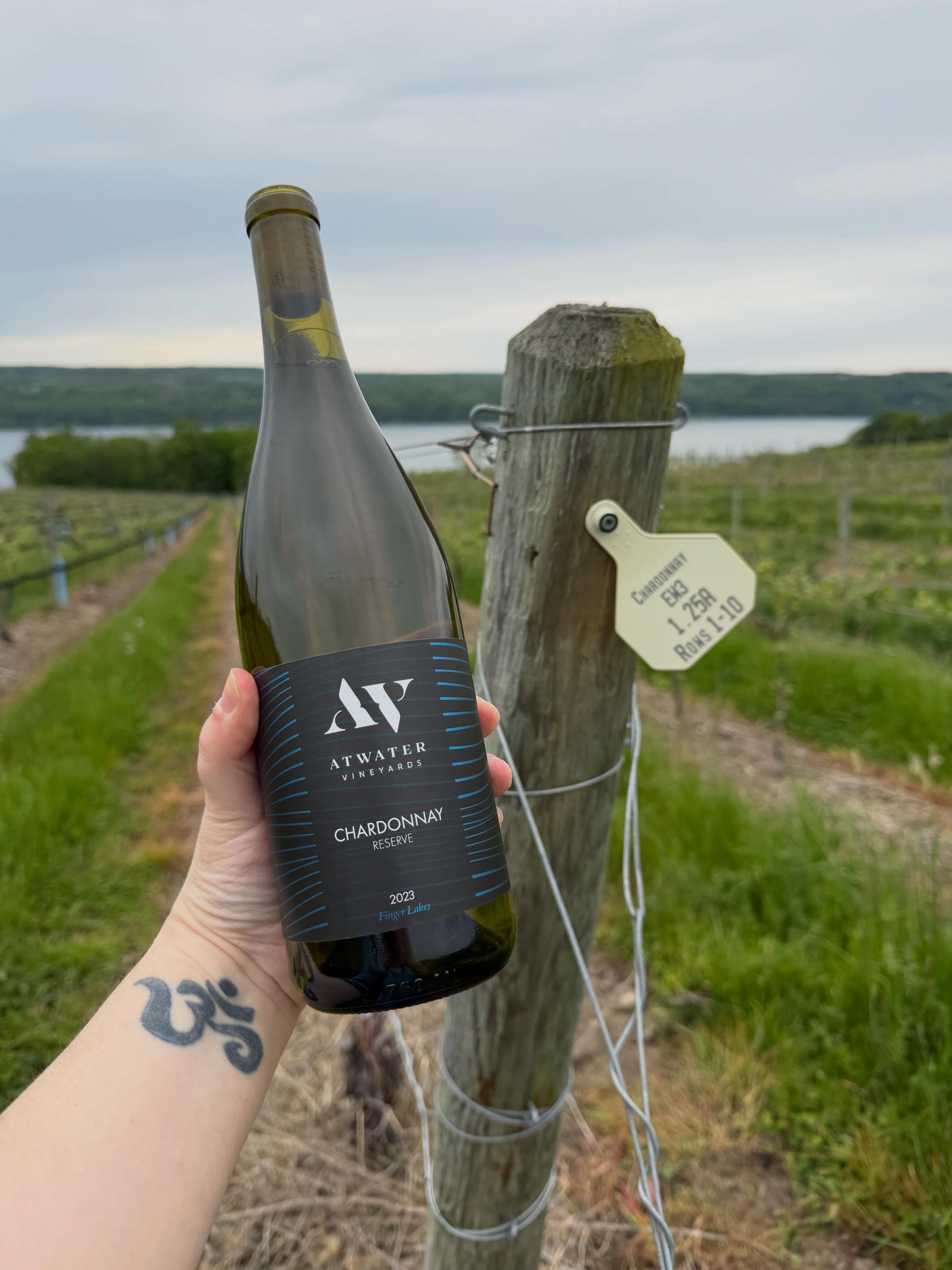 ??? ???????
Chardonnay 2023
100% Chardonnnay (53% Atwater Vineyards, 47% Sawmill Creek Vineyards)
The Chardonnay Reserve 2023 offers aromas of white flowers, apple, lemon, and a subtle hint of cream. This wine is medium-bodied with nicely balanced acidity. Consider pairing this wine with creamy risotto, fish in beurre blanc sauce, or nigiri-style sushi.
The Chardonnay grapes were de-stemmed and pressed into stainless steel tanks to settle. After 24-48 hours, Chardonnay from Atwater was racked into barrels to ferment and age, while Chardonnay from our friends at Sawmill Creek was racked into a stainless steel tank to ferment and age. Both wines aged on their lees for seven months before blending and bottling in August 2024.
Available in our tasting room or online!