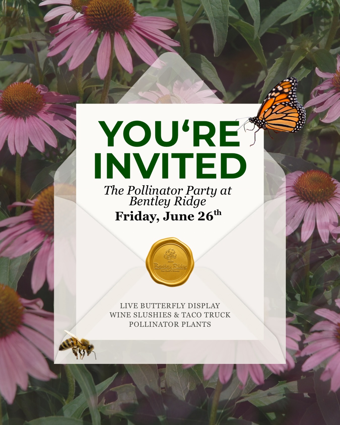 ? We’re celebrating National Pollinator Month BIG this year! Join us Friday, June 26th from 4:30-7pm at Bentley Ridge for our Pollinator Party!
? Expect allllll the pollinator friendly plants + a live butterfly display + delicious wine slushies from @luckywifewineslushies and delicious bites from @anitastacos515! ??
This is one you don’t want to miss - shop all the pollinator plants and treat yourself! ???
