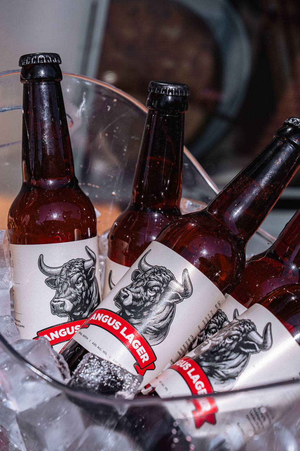 Angus lager tastes even better in the sunshine ☀️?
World Cup season is officially here! Grab the crew, share the bites and celebrate with our famous beer bucket
#worldcup #londonrestaurant #londonfoodie #nachos #chickenwings