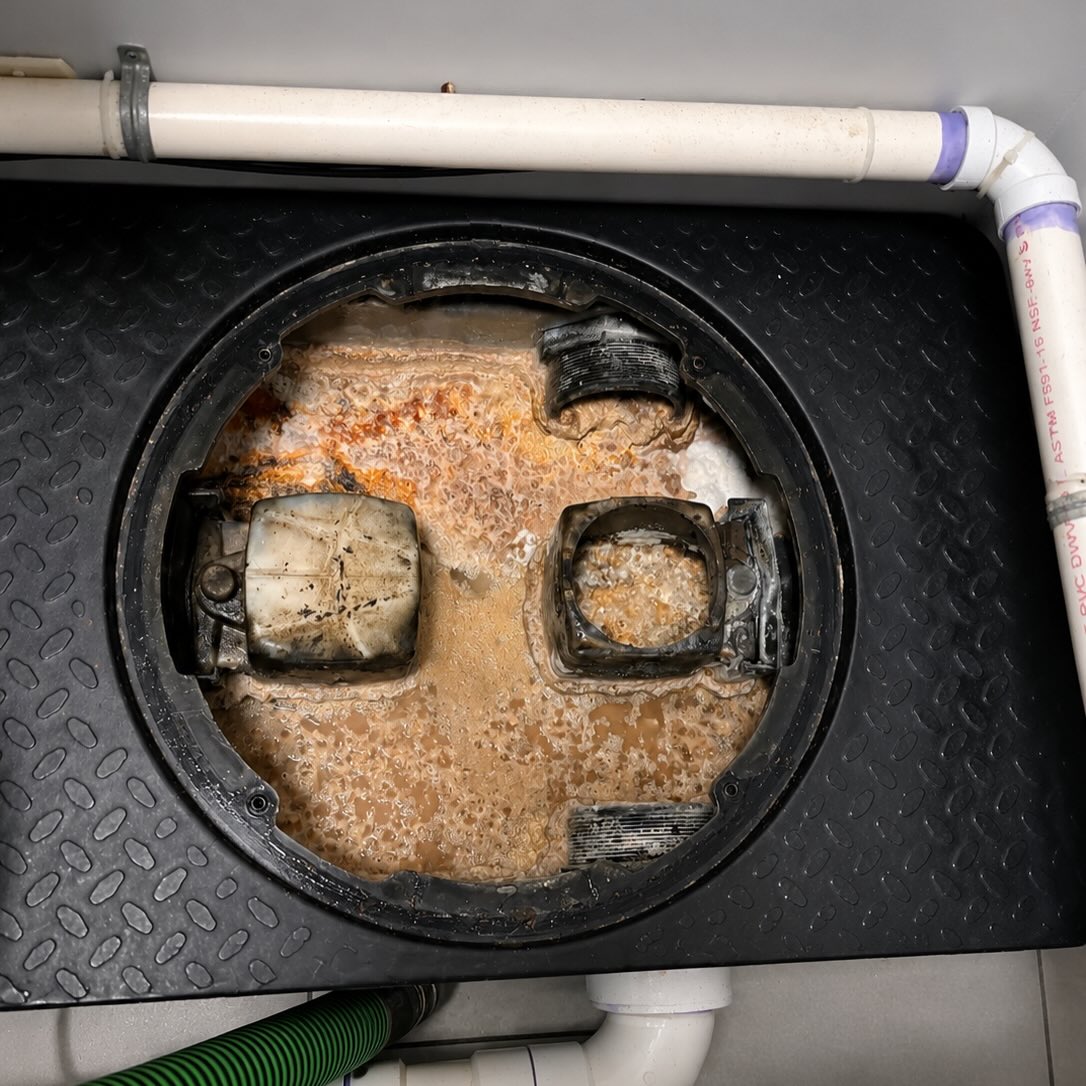 ? MIAMI RESTAURANTS, HOTELS & COMMERCIAL KITCHENS ?
? SPECIAL OFFER: ONLY $275
? Includes:
✅ Grease Trap Pumping
✅ Grease Trap Maintenance
✅ FREE Hydro Jetting
✅ $50 OFF Regular Pricing
⚠️ Avoid:
❌ Backups
❌ Foul Odors
❌ DERM Violations
❌ Costly Emergency Repairs
? Perfect For:
• Hotels
• Restaurants
• Commercial Kitchens
• Cafeterias
• Food Service Facilities
? DERM Reporting Assistance Available
⚡ SAME-DAY & NEXT-DAY SERVICE
? 24/7 Emergency Response
? Se Habla Español | Bilingual Team
? Affordable Commercial Service
? Serving:
Miami Beach • Brickell • Downtown Miami • Wynwood • Little Havana • Calle Ocho • Bayside • Hollywood • Pembroke Pines • Doral • Coral Gables • Hialeah • Aventura & Surrounding Areas
⭐ Trusted by South Florida Businesses
⭐ Fast Response Times
⭐ Professional Service
⭐ Competitive Pricing
? CALL NOW TO CLAIM YOUR $50 DISCOUNT + FREE HYDRO JETTING!
#GreaseTrapPumping #GreaseTrapMaintenance #RestaurantMaintenance #HotelMaintenance #CommercialKitchen