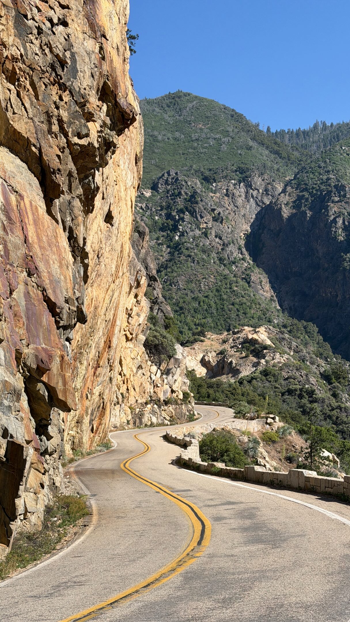 Even the roads are gorgeous in California ?
? Kings Canyon Scenic Byway.
?️ Want my full California bucket list?
After exploring California for ten years, I packed 140+ of the best hikes, views, hidden gems, and road trip stops across the state into one highly detailed and interactive bucket list guide.
⚠️ No searching. No guesswork. Just easy planning with real recommendations.
Comment MAP and I’ll send you a link!