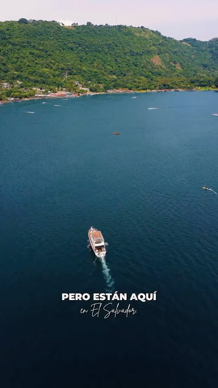 El Lago de Coatepeque no solo se visita, se vive. Descubre una experiencia única frente a uno de los destinos más icónicos de El Salvador??
Haz tu reserva al +503 7856 6504 o cardedeuhotels.com