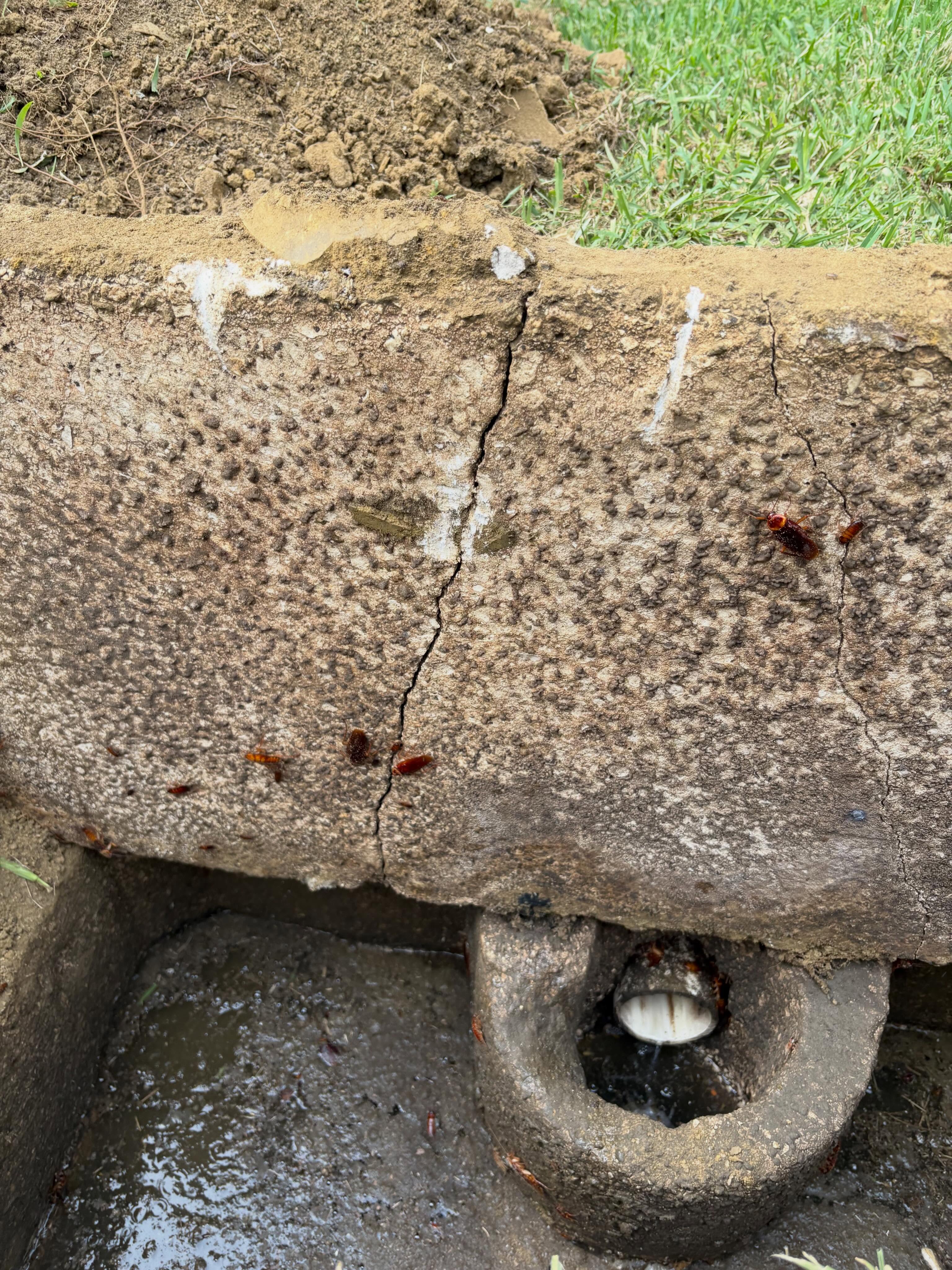 The septic tank lid is cracked and damaged, which can create safety hazards and allow water, dirt, and debris to enter the system. It is recommended to repair or replace the lid as soon as possible to help protect the septic system and prevent further damage. ? #viral #work #life #home #septictank