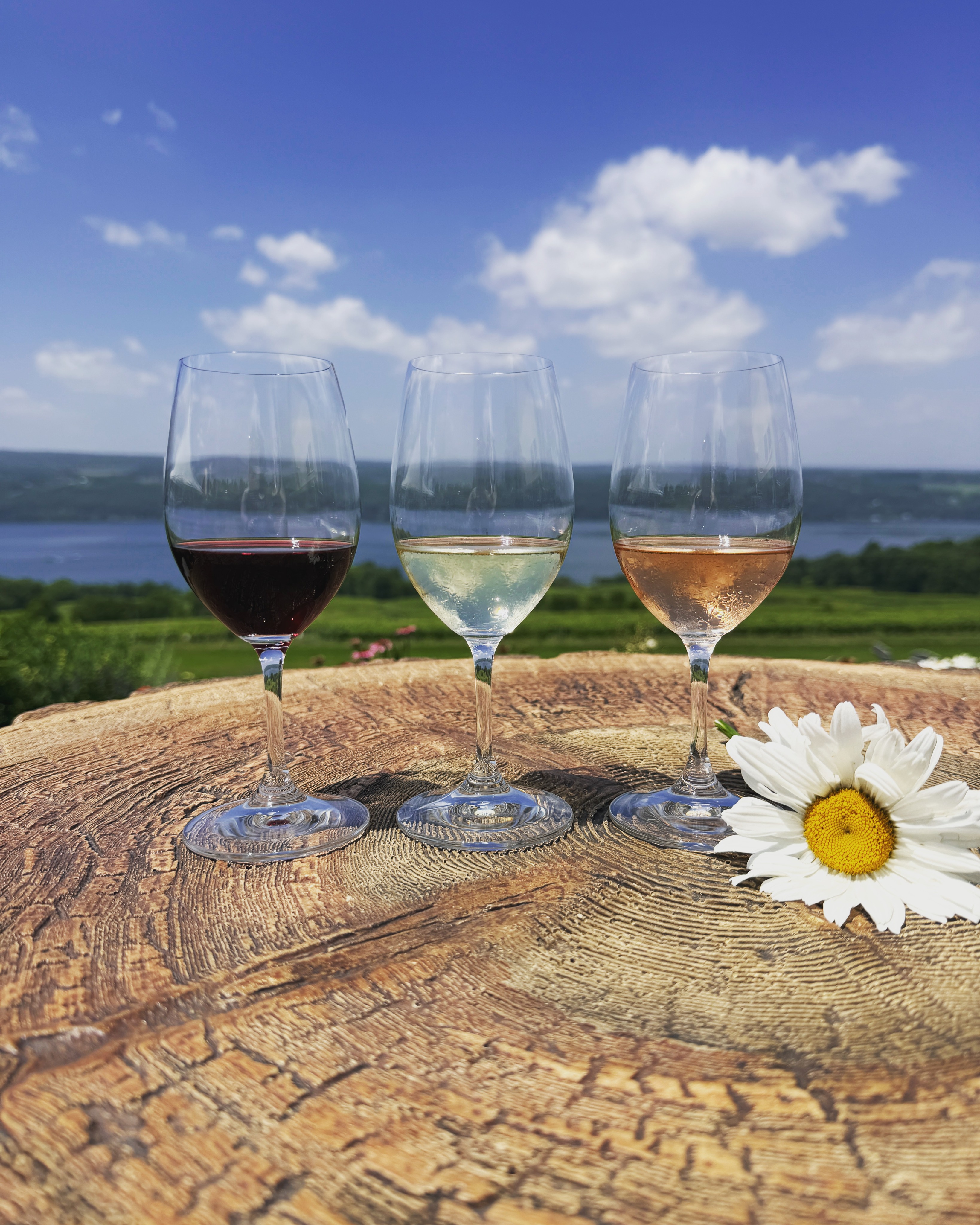 Red, White, and Rose!
Happy 250th birthday America!
We celebrate and honor the values on which our country was founded—equality for all and the right to life, liberty, and the pursuit of happiness.
Come celebrate with us this weekend! We are open for tastings 11:00 AM – 6:00 PM. Our outside bar is open 11:00 AM to 9:00 PM on Saturday and 11:00 AM – 8:00 PM on Sunday.
Tonight, DJ Mike Judah will be laying down reggae tunes from 6:30 PM-8:30 PM.
We can’t wait to see you!