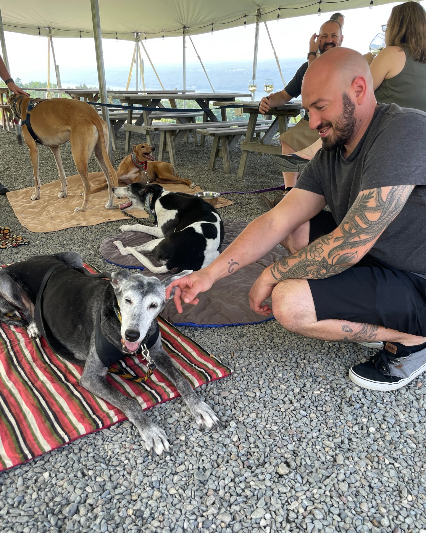 We can’t believe it’s almost the end of Grapehounds(TM)! We love seeing all the beautiful, sweet rescues visit our outside bar. If you haven’t had a chance to visit, we hope to see you! We’re open 11:00 AM-9:00 PM on Saturday and 11:00 AM to 8:00 PM on Sunday. Be sure to ask for your special Grapehounds discount!