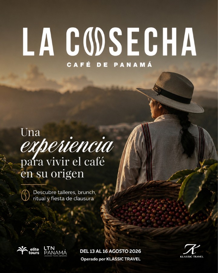☕ Vive el café de Panamá desde su origen.
Del 13 al 16 de agosto de 2026, La Cosecha te invita a conectar con la cultura cafetera panameña a través de talleres, brunch en el cañón, rituales, música y una gran fiesta de clausura.
Desliza el carrusel y conoce cada experiencia preparada para celebrar el aroma, las historias y las personas que hacen único nuestro café. ?
Reserva tu cupo con Elite Tours Panamá.
Cupos limitados.
Operado por Klassic Travel.
#EliteToursPanamá #LaCosecha2026 #CaféDePanamá